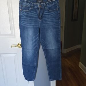 Judy Blue Dark Wash Ankle Jeans